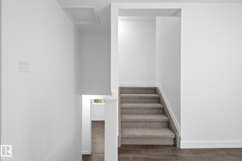 Carpeted staircase with white risers and dark wood-finish flooring - 2832 135 Avenue, Edmonton, AB - Indoor Photo Showing Other Room