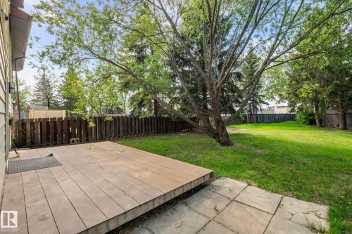 Spacious backyard featuring a wood-finish deck, mature tree, established lawn, and privacy fencing - 2832 135 Avenue, Edmonton, AB - Outdoor