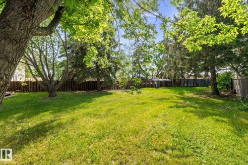 Spacious backyard featuring a lush green lawn, mature trees providing natural shade, and a wood privacy fence enclosing the perimeter - 2832 135 Avenue, Edmonton, AB - Outdoor With Backyard
