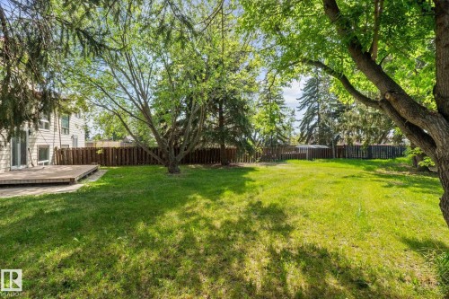 Expansive green lawn framed by mature trees - 2832 135 Avenue, Edmonton, AB - Outdoor