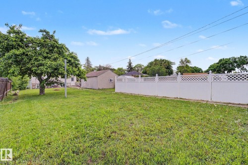 Expansive green lawn with a mature shade tree and a white lattice-top fence - 11914 124 Street, Edmonton, AB 