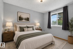 Spacious bedroom featuring light gray walls and plush carpeting - 