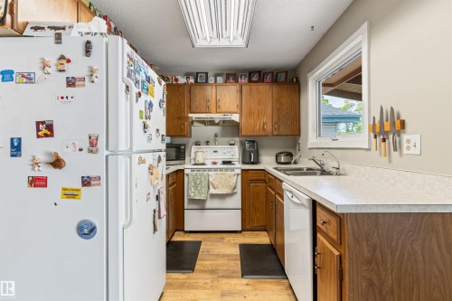 1736 36 Street, Edmonton, AB - Indoor Photo Showing Kitchen With Double Sink