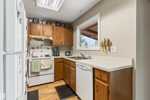 1736 36 Street, Edmonton, AB - Indoor Photo Showing Kitchen With Double Sink