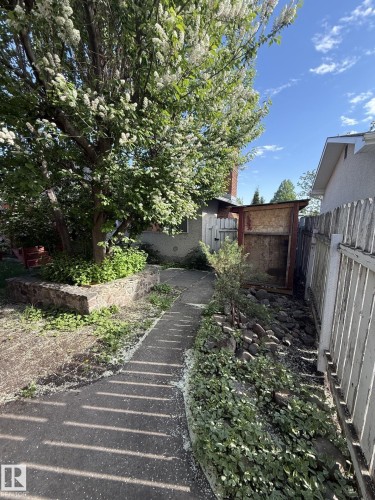 Concrete pathway with adjacent stone-lined garden beds - 16321 - 109A Ave, Edmonton, AB - Outdoor