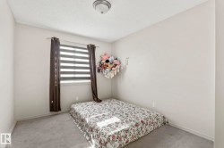 Carpeted room featuring a window with horizontal blinds and full-length curtains, neutral wall tones, and a ceiling-mounted light fixture - 