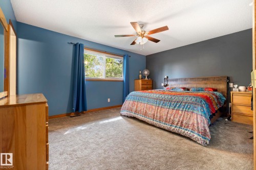 Carpeted bedroom featuring a window with natural light, a ceiling fan with light fixture, and contrasting wall colors - 9940 83 St, Fort Saskatchewan, AB 
