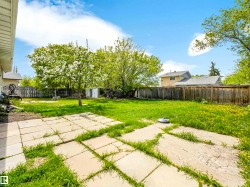 Expansive backyard featuring a partial concrete patio, a mature blooming tree, a wooden fence, and a grass lawn - 