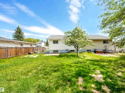 Expansive backyard featuring a mature flowering tree, concrete paver pathway, wood privacy fencing, and a stucco exterior - 