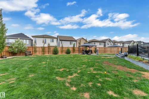 Expansive outdoor space featuring a manicured lawn, wooden privacy fencing, and multiple mature trees - 17551 64 Street, Edmonton, AB 