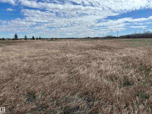 Expansive open land featuring natural grasses - 23075 Twp Road 542, Rural Strathcona County, AB 