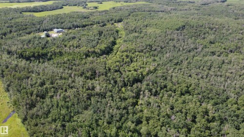 Expansive forested property featuring dense tree coverage - 55419 Rr73, Rural St. Paul County, AB 