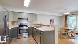 Kitchen featuring sage green cabinetry, stainless steel appliances, light-colored countertops, and wood-finish flooring - 