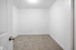 Bright room featuring plush neutral-toned carpeting, white walls, and a ceiling-mounted light fixture - 