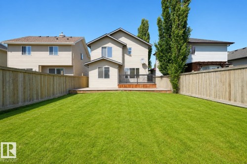 Spacious backyard featuring a large green lawn, perimeter wood fencing, and a multi-level wood deck with black metal railings - 8523 7 Avenue Sw, Edmonton, AB 