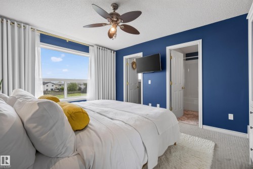 Bedroom featuring a large window, a ceiling fan, blue accent wall, and carpet flooring - 57 3010 33 Avenue, Edmonton, AB 