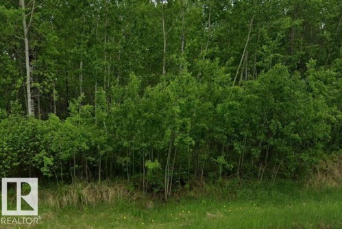 511 Rr 222, Rural Strathcona County, AB 