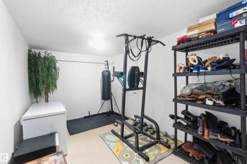 Versatile room featuring light-colored carpeting, white walls, and a textured ceiling - 18808 72A Avenue, Edmonton, AB 