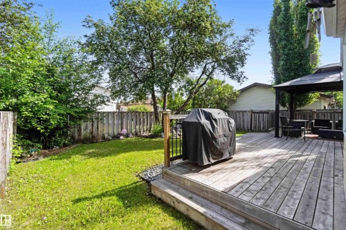 Expansive backyard featuring a wood deck with steps, a black gazebo, and a perimeter wood fence - 18808 72A Avenue, Edmonton, AB 