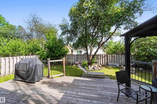 Expansive backyard featuring a wood-finish deck with black metal railings, a pergola structure, a mature tree, and a grass lawn - 18808 72A Avenue, Edmonton, AB 