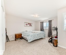 Carpeted bedroom with neutral wall tones and a ceiling-mounted light fixture - 