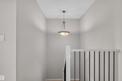 Stairs - 4612 Westcliff Point(E), Edmonton, AB 