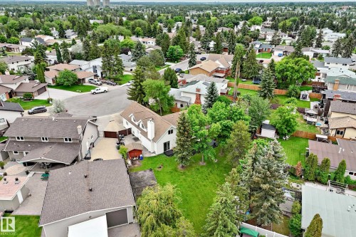 Expansive property featuring a substantial green lawn framed by mature trees, presenting a private outdoor space - 8224 186 Street Nw, Edmonton, AB 