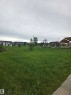 Yard - 113 29A Street, Edmonton, AB 