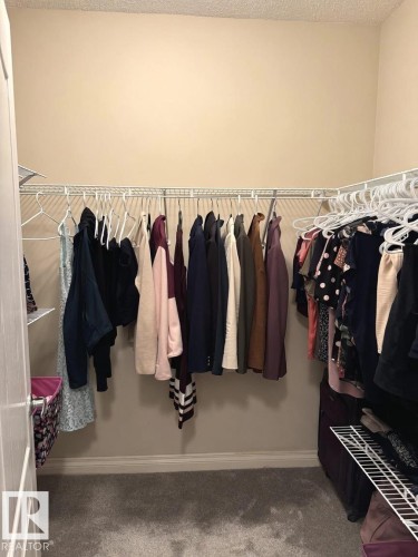 Walk-in closet featuring light beige walls and gray carpet flooring - 305 11111 82 Avenue, Edmonton, AB 