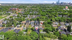 Residential neighborhood featuring mature tree canopies and a distant city skyline - 