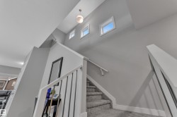Carpeted staircase with white balusters and handrails - 