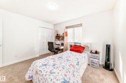 Bright room featuring a window with roller shade, neutral carpet flooring, and a flush mount ceiling light - 