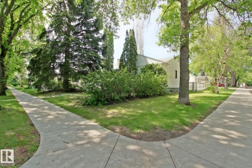 Manicured lawn with mature trees and established shrubbery, featuring a concrete sidewalk - 11242 56 Street, Edmonton, AB 