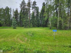 2 465011 Rge Rd 64 Rural Wetaskiwin County, AB T0C 0T0