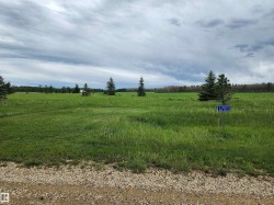 5 465011 Rge. RD 64 Rural Wetaskiwin County, AB T0C 0T0