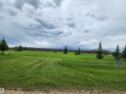 13 465011 Rge Rd 64 Rural Wetaskiwin County, AB T0C 0T0