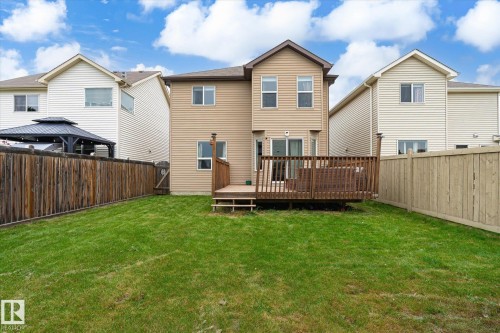 Expansive green lawn with a wood privacy fence - 1744 61 Street, Edmonton, AB 