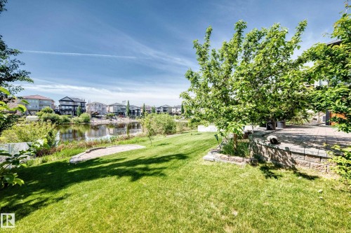 Yard - 352 Ozerna Road, Edmonton, AB 