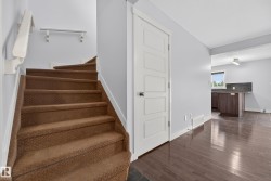 Carpeted staircase with white handrail and baseboards, contrasting with dark wood-finish flooring - 