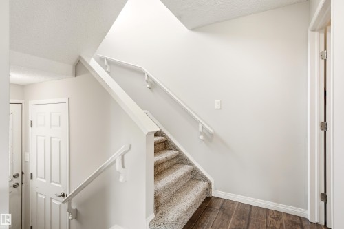 Carpeted staircase with white handrails - 21384 88 Avenue, Edmonton, AB 