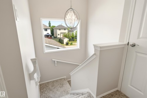 Staircase featuring carpeted treads, white painted handrails, and a modern chandelier - 21384 88 Avenue, Edmonton, AB 