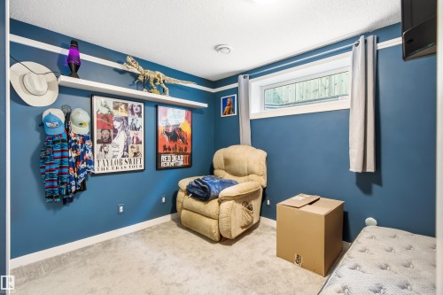 Room featuring blue painted walls with white trim, light-colored carpet flooring, a window with a white frame and grey curtains, and two wall-mounted white shelves - 21384 88 Avenue, Edmonton, AB 