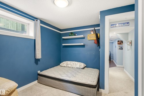 Bedroom featuring blue painted walls with white trim, a single window, two wall-mounted shelves, and light-colored carpet flooring - 21384 88 Avenue, Edmonton, AB 
