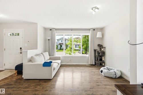 Living area featuring wood-finish flooring and a large window - 21384 88 Avenue, Edmonton, AB 