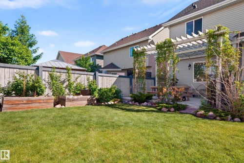 Expansive backyard featuring a green lawn, wood fence, and a pergola with climbing greenery - 1310 82 Street, Edmonton, AB 