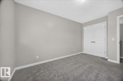 Neutral tone wall paint with white trim, gray carpet flooring, and double bifold doors - 