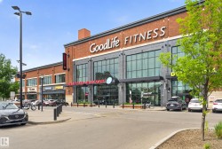Retail building featuring brick and dark panel facade, expansive storefront windows, multiple pedestrian entrances, and prominent signage - 