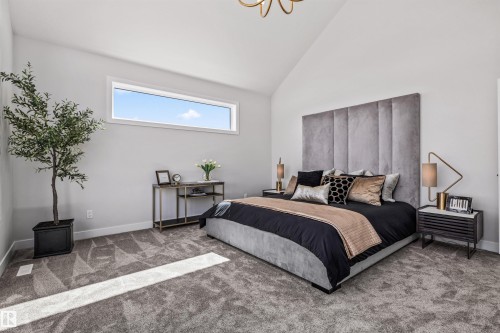 4667 Chegwin Wynd, Edmonton, AB 