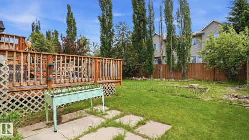 Expansive backyard featuring a wood deck with lattice skirting, a grassy lawn, and mature trees providing natural privacy - 6105 52 Avenue, Beaumont, AB 