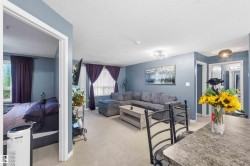 Living room - 